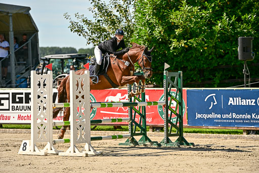 Show Jumping Event Stall Leichle in Schnarup | 17082025 KL L Punkte _162 
