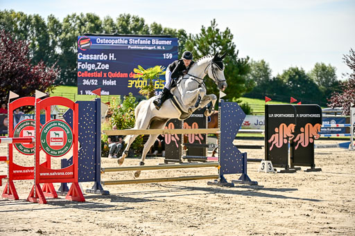 Show Jumping Event Stall Leichle in Schnarup | 17082025 KL L Punkte _166 