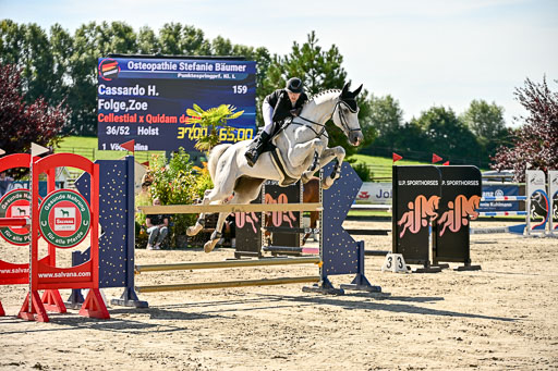 Show Jumping Event Stall Leichle in Schnarup | 17082025 KL L Punkte _167 