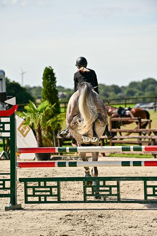 Show Jumping Event Stall Leichle in Schnarup | 17082025 KL L Punkte _169 