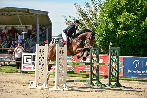 Show Jumping Event Stall Leichle in Schnarup | 17082025 KL L Punkte _173 