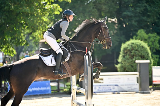 Show Jumping Event Stall Leichle in Schnarup | 17082025 KL L Punkte _175 