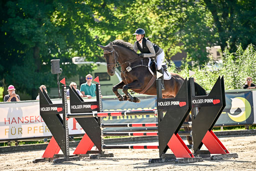 Show Jumping Event Stall Leichle in Schnarup | 17082025 KL L Punkte _176 