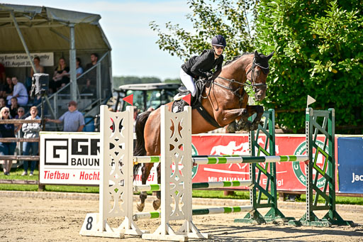 Show Jumping Event Stall Leichle in Schnarup | 17082025 KL L Punkte _184 