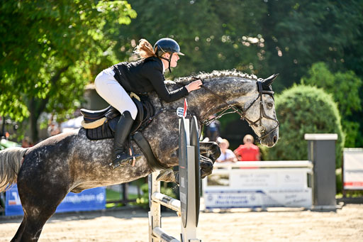 Show Jumping Event Stall Leichle in Schnarup | 17082025 KL L Punkte _186 