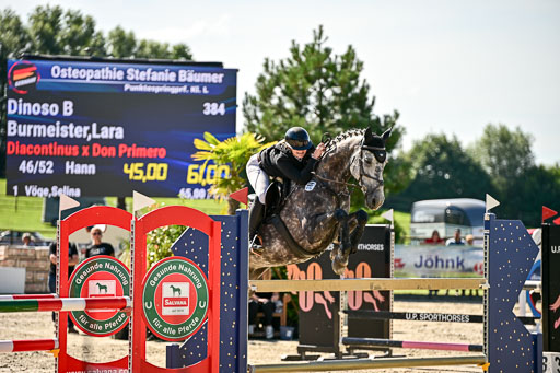 Show Jumping Event Stall Leichle in Schnarup | 17082025 KL L Punkte _193 