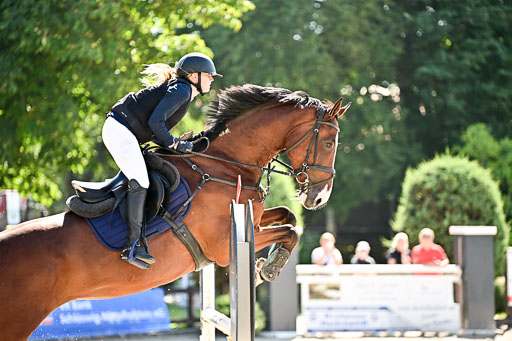 Show Jumping Event Stall Leichle in Schnarup | 17082025 KL L Punkte _195 