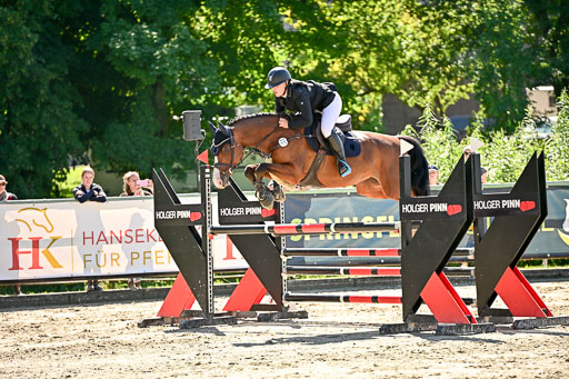 Show Jumping Event Stall Leichle in Schnarup | 17082025 KL L Punkte _222 