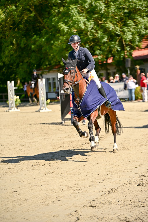 Show Jumping Event Stall Leichle in Schnarup | 17082025 KL L Punkte _237 
