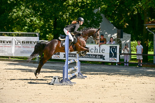 Show Jumping Event Stall Leichle in Schnarup | 17082025 Hunter 85 _011 