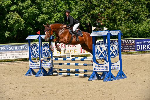 Show Jumping Event Stall Leichle in Schnarup | 17082025 Hunter 85 _012 