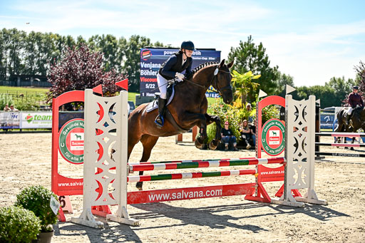 Show Jumping Event Stall Leichle in Schnarup | 17082025 Hunter 85 _019 