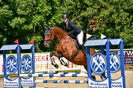 Show Jumping Event Stall Leichle in Schnarup | 17082025 Hunter 85 _053 