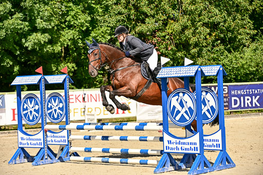 Show Jumping Event Stall Leichle in Schnarup | 17082025 Hunter 85 _056 