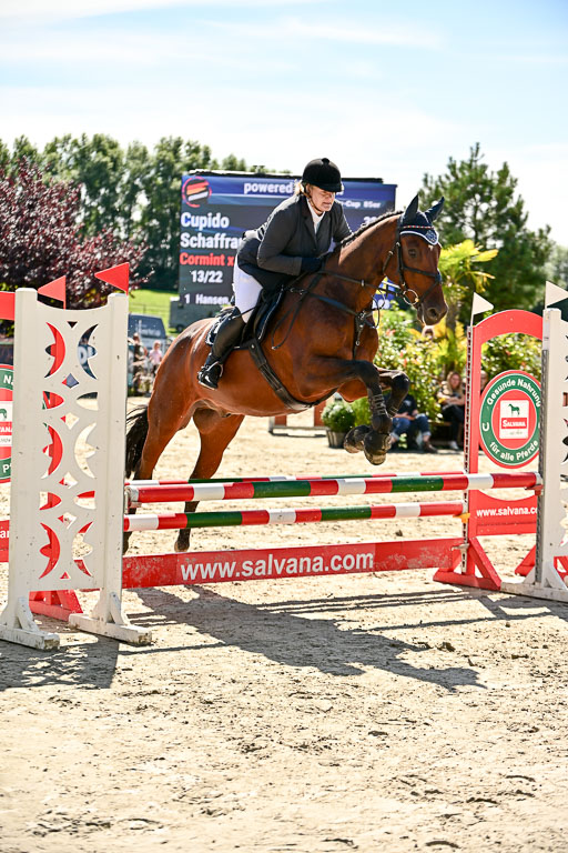 Show Jumping Event Stall Leichle in Schnarup | 17082025 Hunter 85 _059 