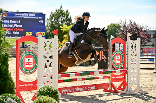 Show Jumping Event Stall Leichle in Schnarup | 17082025 Hunter 85 _062 