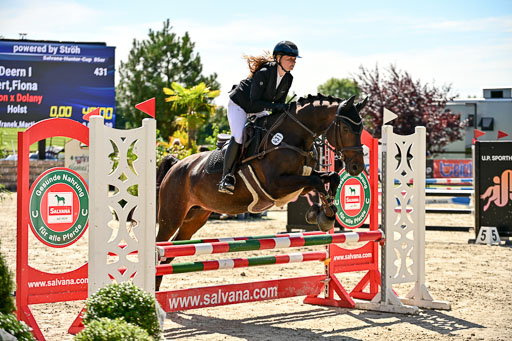 Show Jumping Event Stall Leichle in Schnarup | 17082025 Hunter 85 _063 