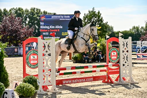 Show Jumping Event Stall Leichle in Schnarup | 17082025 Hunter 85 _072 