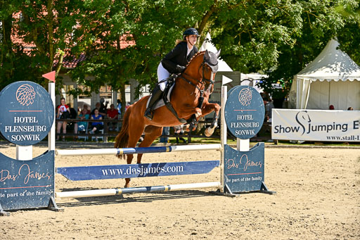 Show Jumping Event Stall Leichle in Schnarup | 17082025 Hunter 85 _076 