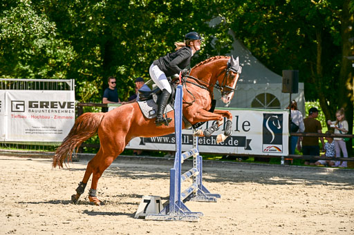 Show Jumping Event Stall Leichle in Schnarup | 17082025 Hunter 85 _078 