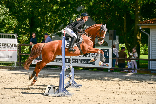 Show Jumping Event Stall Leichle in Schnarup | 17082025 Hunter 85 _079 