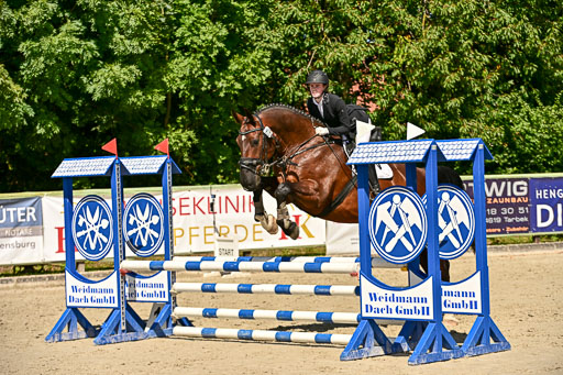 Show Jumping Event Stall Leichle in Schnarup | 17082025 Hunter 85 _116 