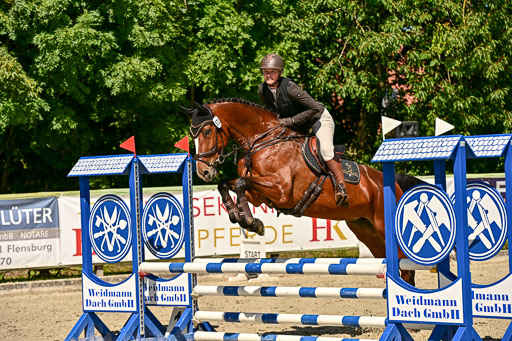 Show Jumping Event Stall Leichle in Schnarup | 17082025 Hunter 85 _117 