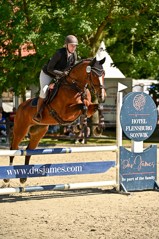 Show Jumping Event Stall Leichle in Schnarup | 17082025 Hunter 85 _121 