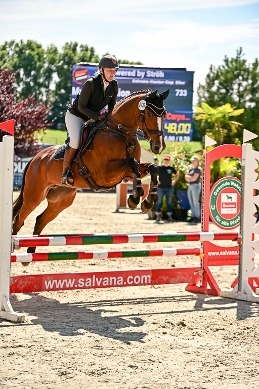 Show Jumping Event Stall Leichle in Schnarup | 17082025 Hunter 85 _123 