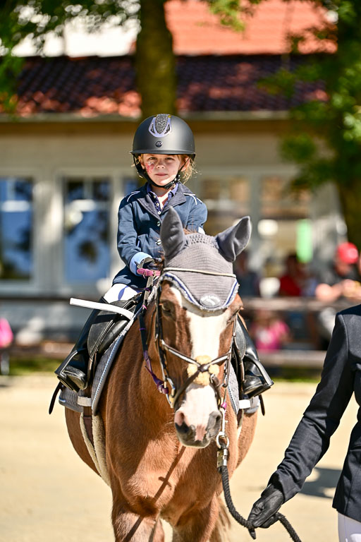 Show Jumping Event Stall Leichle in Schnarup | 17082025 Führzügel WB _002 