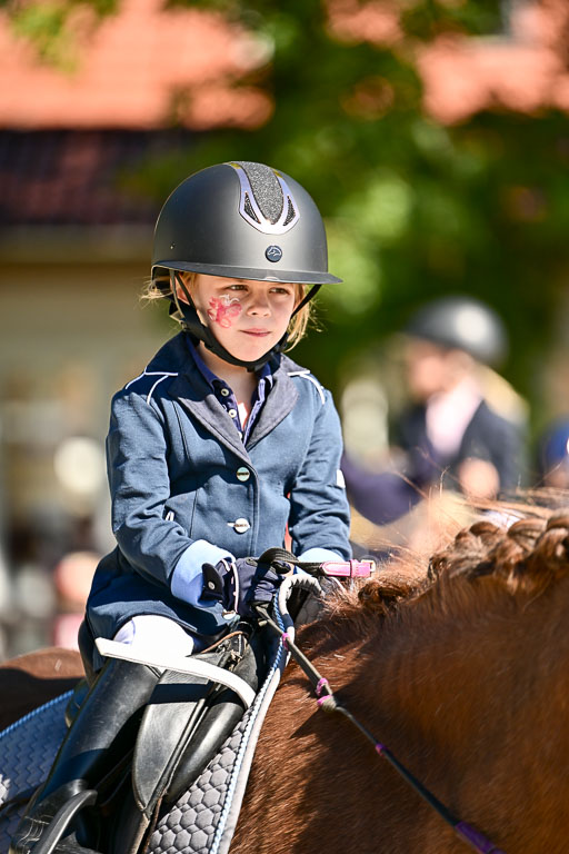 Show Jumping Event Stall Leichle in Schnarup | 17082025 Führzügel WB _003 