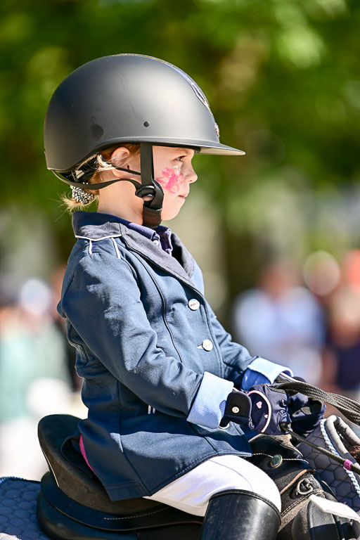 Show Jumping Event Stall Leichle in Schnarup | 17082025 Führzügel WB _005 