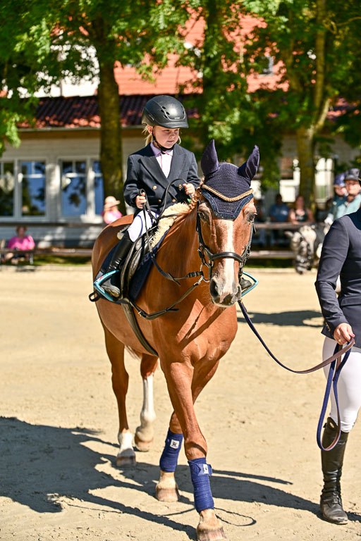 Show Jumping Event Stall Leichle in Schnarup | 17082025 Führzügel WB _006 