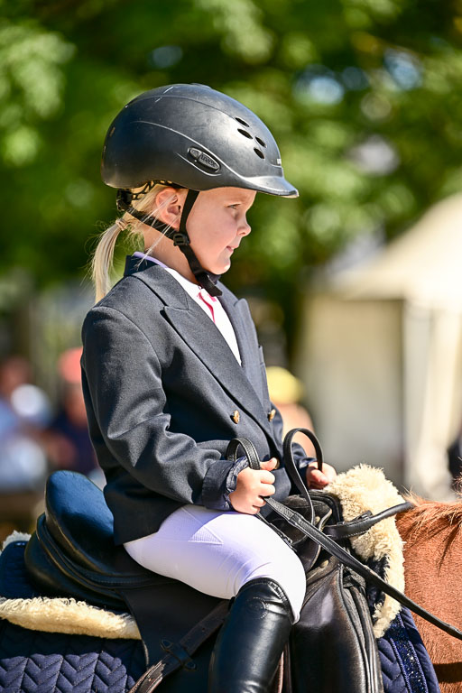 Show Jumping Event Stall Leichle in Schnarup | 17082025 Führzügel WB _008 