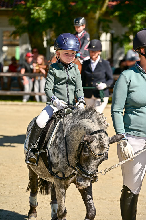 Show Jumping Event Stall Leichle in Schnarup | 17082025 Führzügel WB _010 