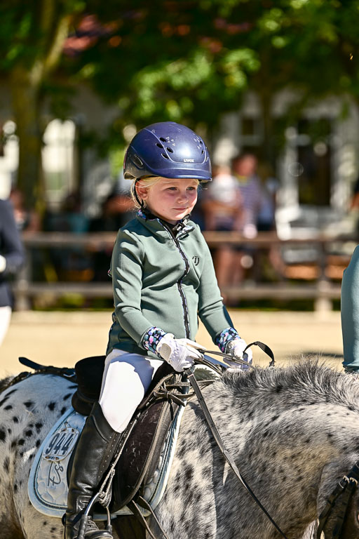 Show Jumping Event Stall Leichle in Schnarup | 17082025 Führzügel WB _011 