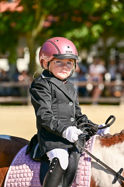 Show Jumping Event Stall Leichle in Schnarup | 17082025 Führzügel WB _021 