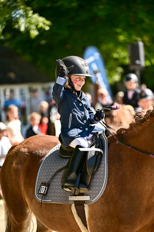 Show Jumping Event Stall Leichle in Schnarup | 17082025 Führzügel WB _022 