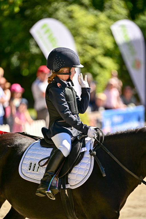 Show Jumping Event Stall Leichle in Schnarup | 17082025 Führzügel WB _030 