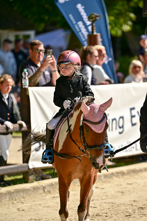 Show Jumping Event Stall Leichle in Schnarup | 17082025 Führzügel WB _031 