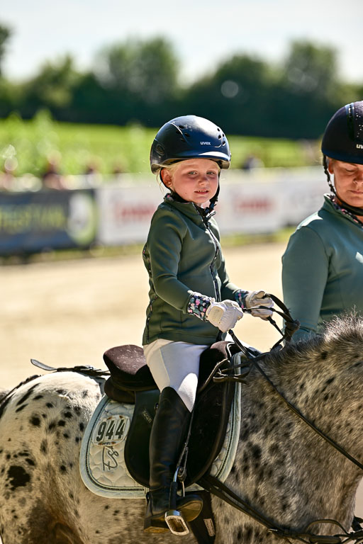 Show Jumping Event Stall Leichle in Schnarup | 17082025 Führzügel WB _045 