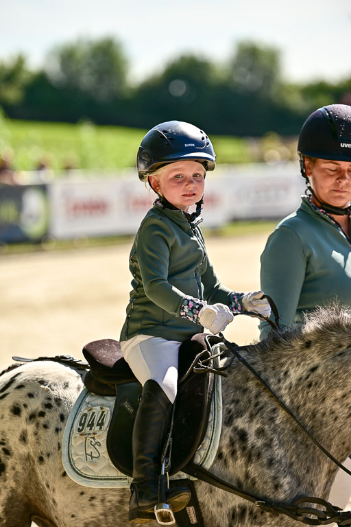 Show Jumping Event Stall Leichle in Schnarup | 17082025 Führzügel WB _046 
