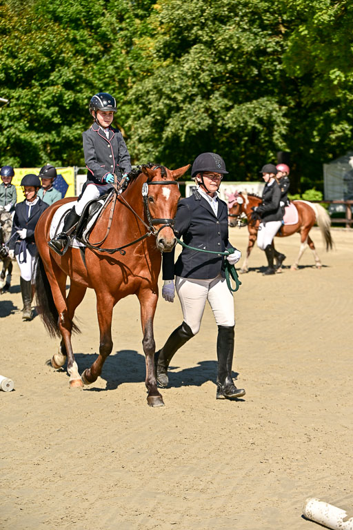 Show Jumping Event Stall Leichle in Schnarup | 17082025 Führzügel WB _049 