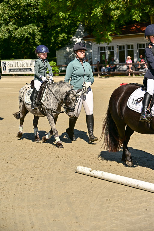 Show Jumping Event Stall Leichle in Schnarup | 17082025 Führzügel WB _053 