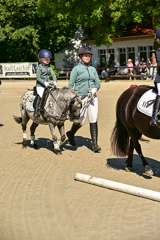 Show Jumping Event Stall Leichle in Schnarup | 17082025 Führzügel WB _054 