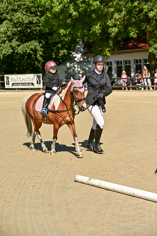 Show Jumping Event Stall Leichle in Schnarup | 17082025 Führzügel WB _055 