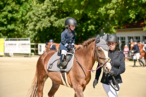 Show Jumping Event Stall Leichle in Schnarup | 17082025 Führzügel WB _056 