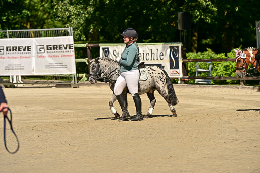 Show Jumping Event Stall Leichle in Schnarup | 17082025 Führzügel WB _058 