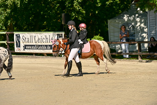 Show Jumping Event Stall Leichle in Schnarup | 17082025 Führzügel WB _059 