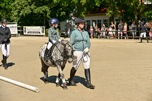 Show Jumping Event Stall Leichle in Schnarup | 17082025 Führzügel WB _061 